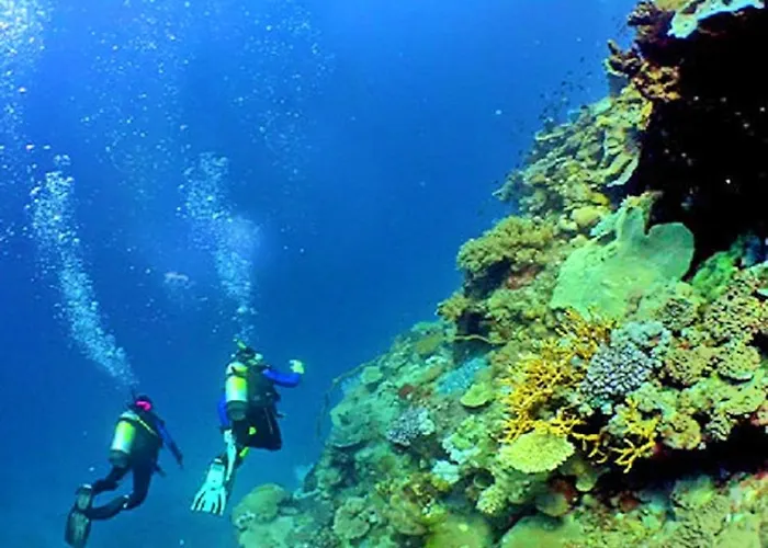 V4, Jardins Branqueira7 Near Beach, ヴィラ