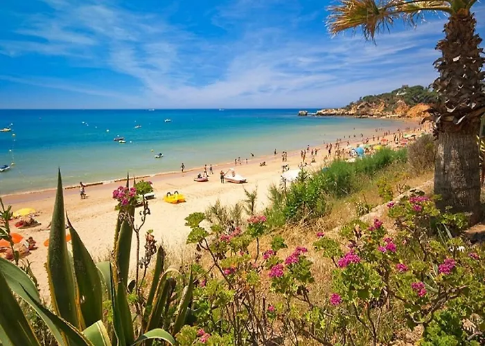 V4, Jardins Branqueira7 Near Beach, Villa *