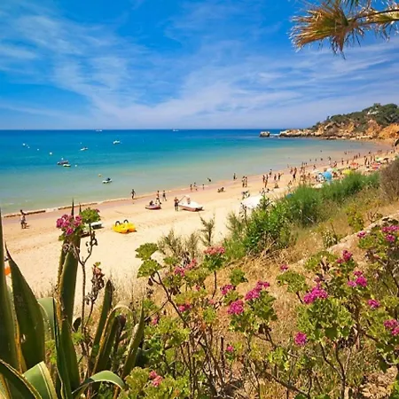 V4, Jardins Branqueira7 Near Beach, 빌라 *